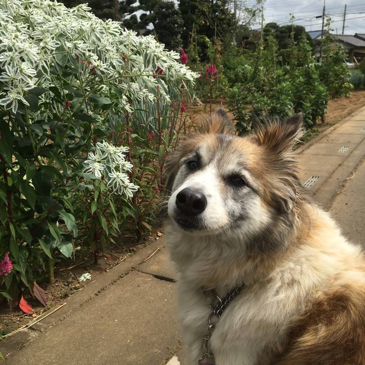 6c23f5eb 0fff 4524 b2e8 425e6613f358