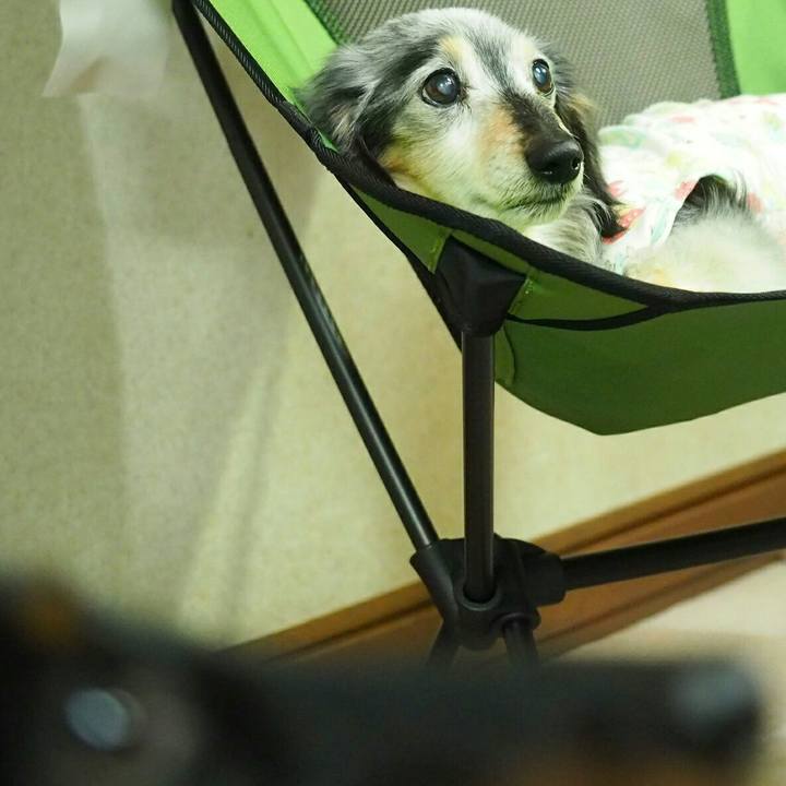 6c248584 deb3 487d baf1 41426109b4f7