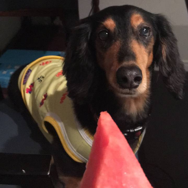 6c25051e e9dd 4cdc 8327 0e9fbbeed8d0