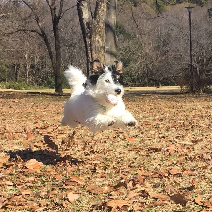 6c253995 a6ce 447f b0d3 047c2f7329be