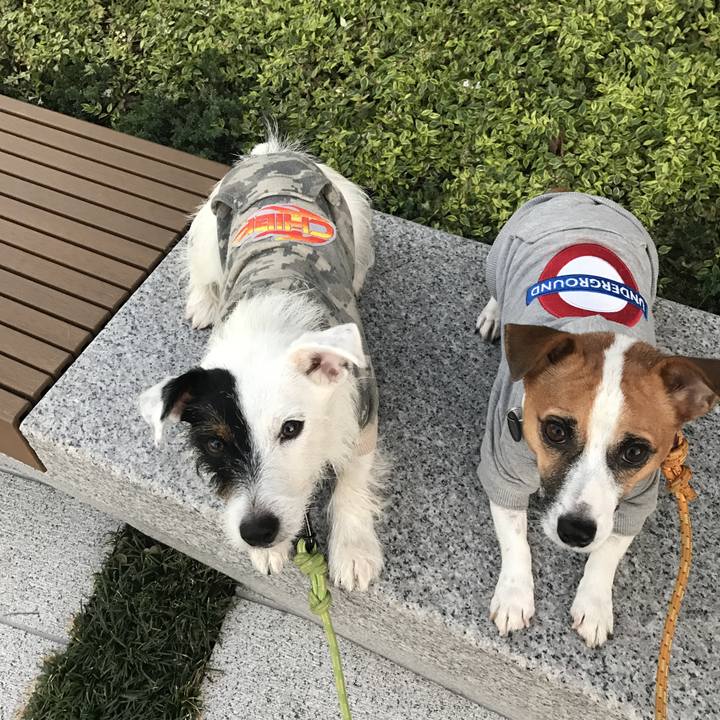 6c25a778 be53 4a58 8897 ee6ebea8dc03