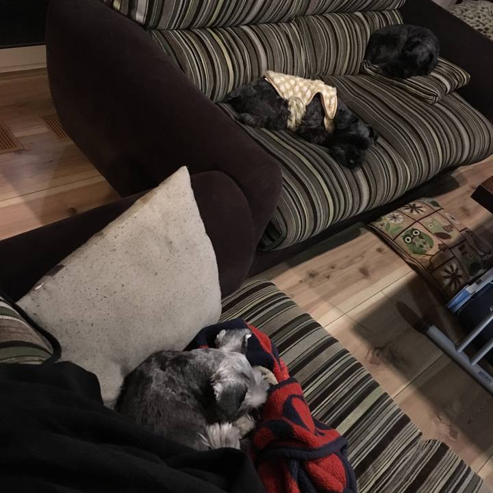 6c25eefb b7ba 41d8 bb2f 04c7c06631b3