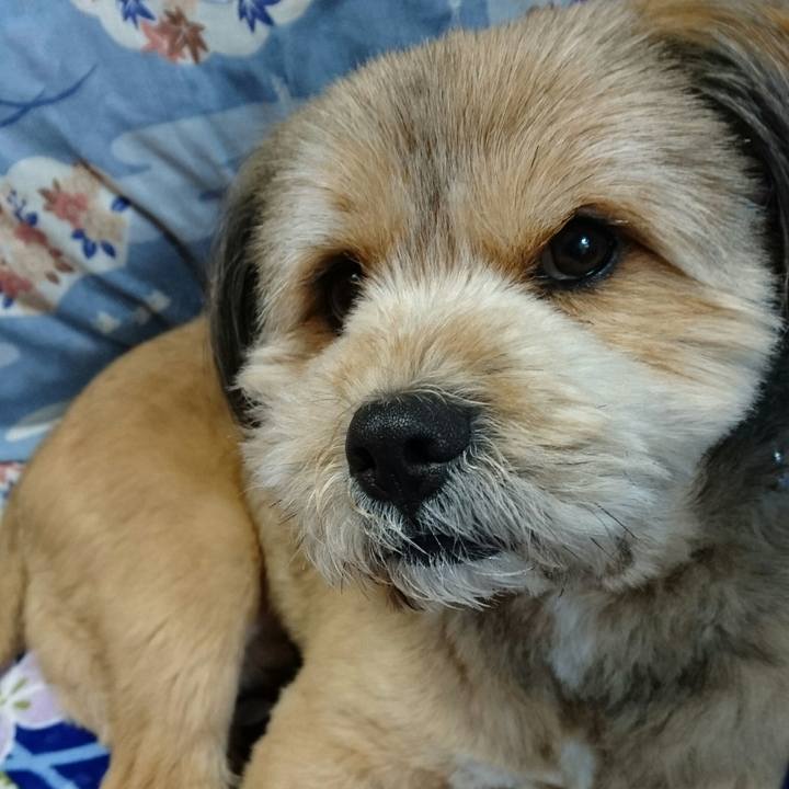 6c25f205 8fde 4148 a3de 7194d5067d76