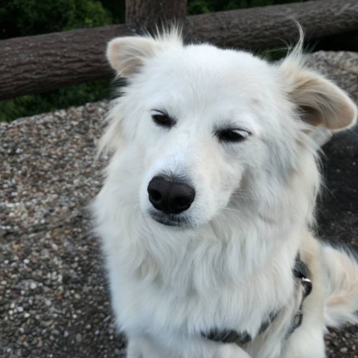 6c2601b9 b188 48d8 a247 c3cffeb04c87