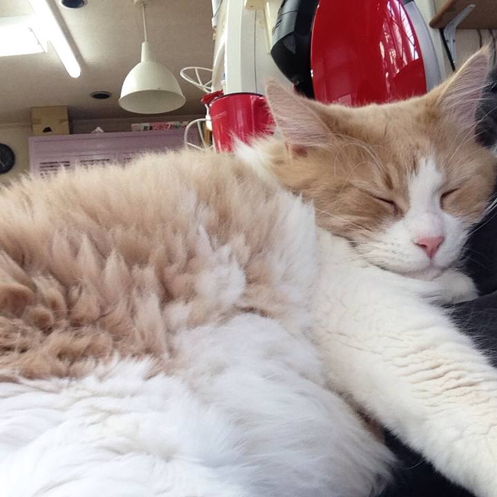 6c2642e0 334f 423b 988e 97bce1e47f70