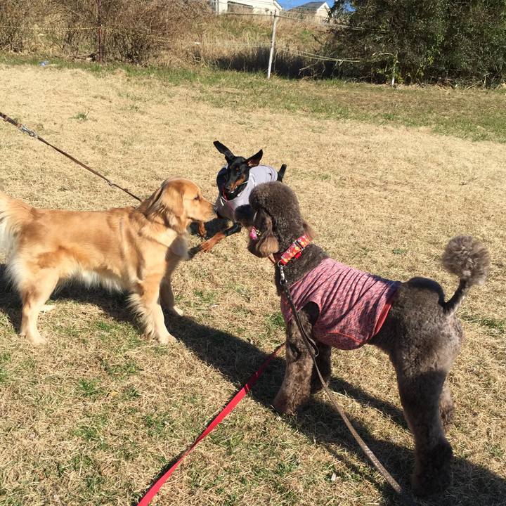 6c26f092 9129 426a a72e c5f912571b8b