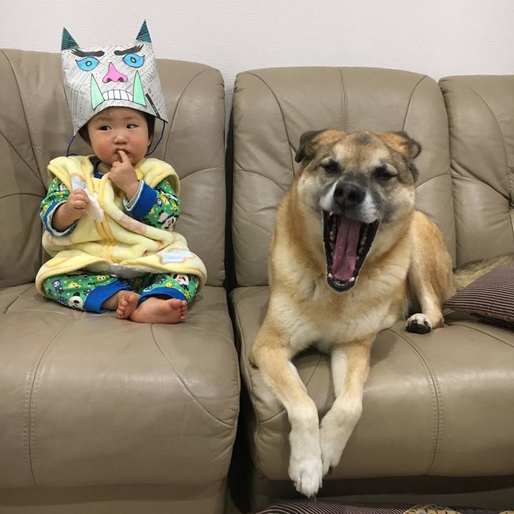 6c26f24c 5b84 449f b39c 89f1c26e3724