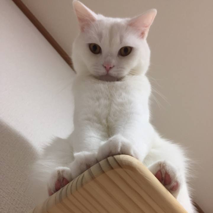 6c27b13e 0b73 401b af24 48ec9d460e49