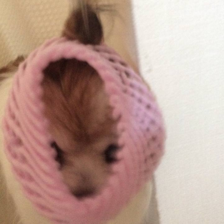 6c281326 d4f7 4c9e 9dfe ca2a055c3bd8