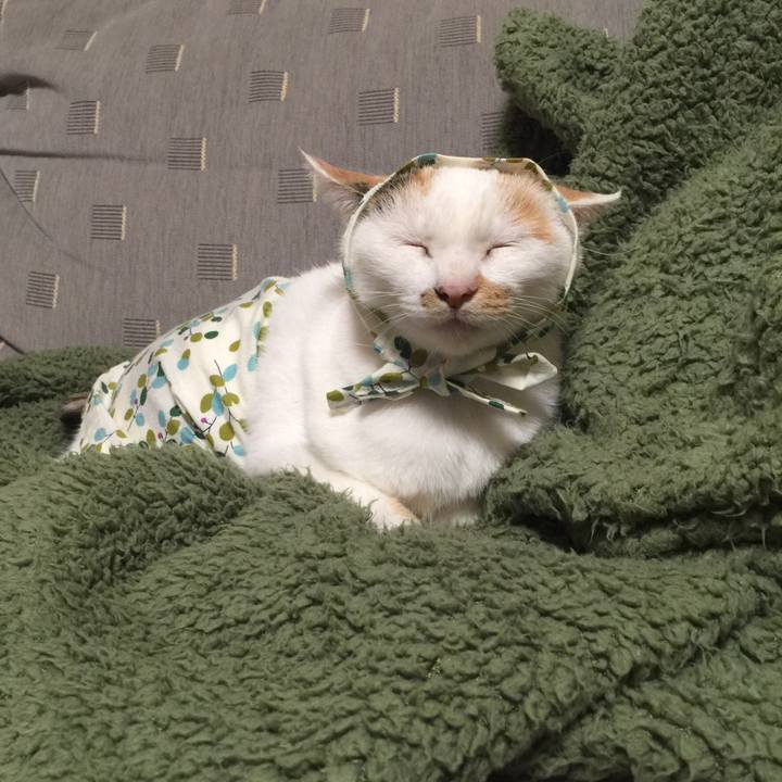 6c28947c 9650 44fb 94e4 19b9bb3857d5