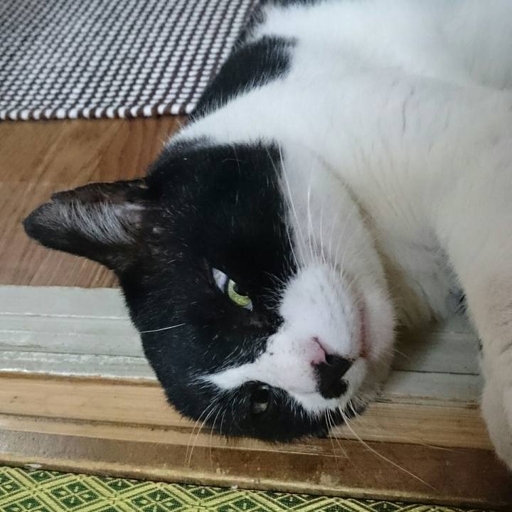 6c297c2b 56d2 453e aad9 dd7270a8a53a