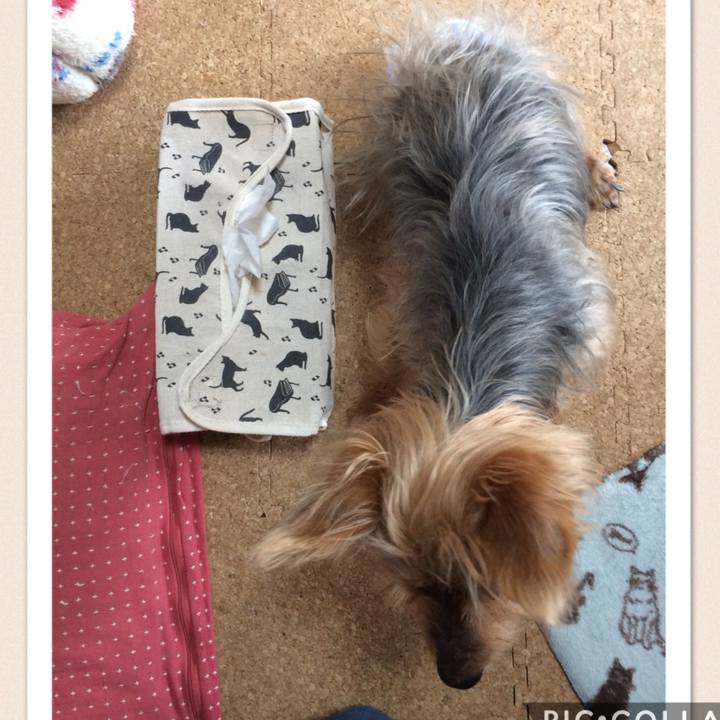 6c2a84d2 8280 491c 8afd d7ead58dc03e