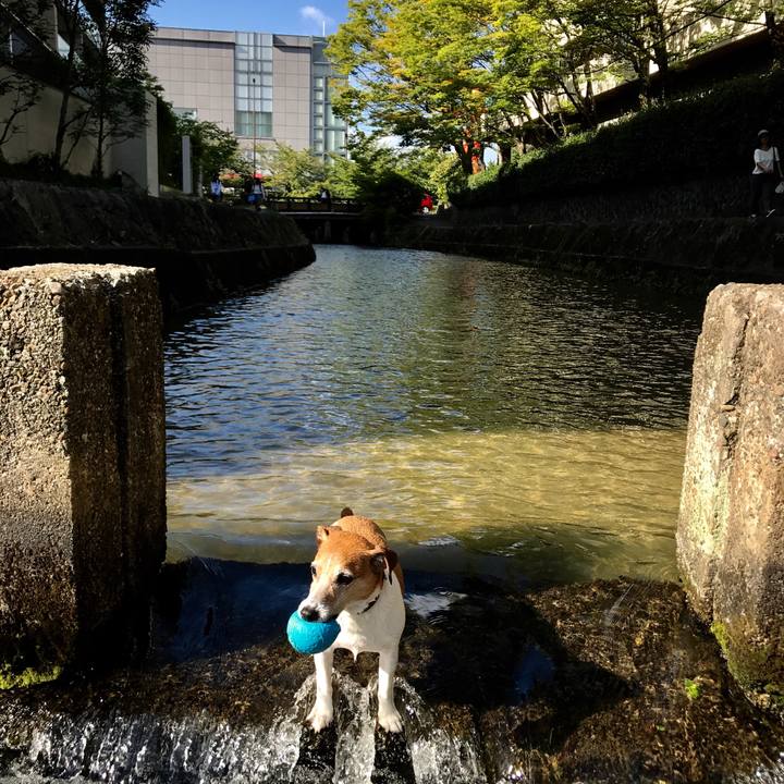 6c2adffe 85ab 40d8 9c3f af967568eb5e