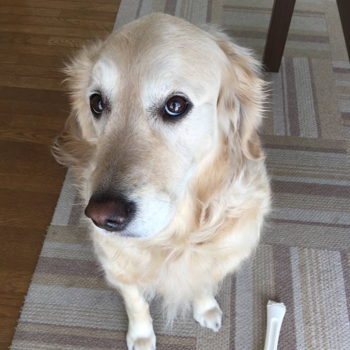 6c2af423 e05e 4c48 ac45 9cb135957c16