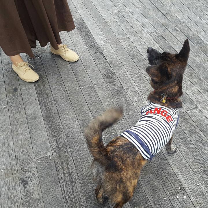 6c2b585b 4f2d 4745 a1d2 45db0f130b4d