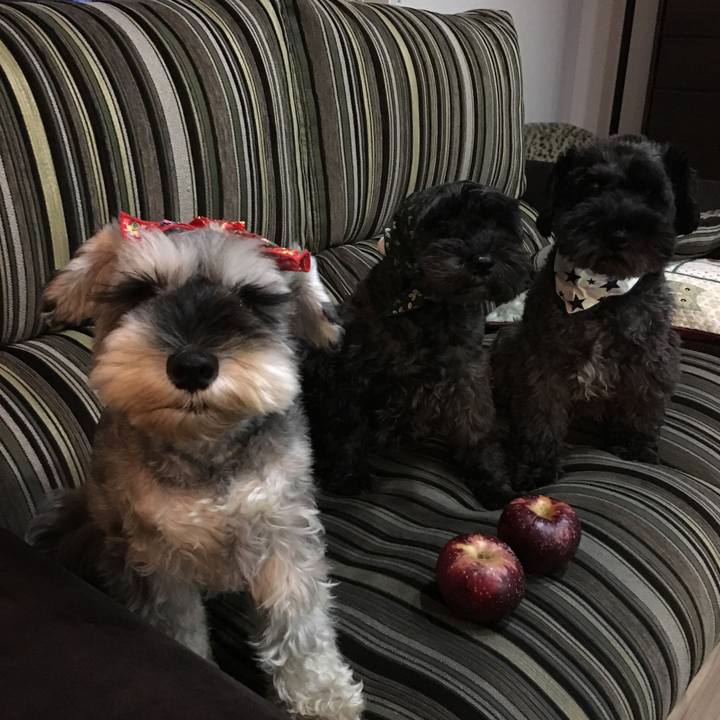 6c2bc48e 8e2b 4bbe 9395 1a1a74a04c84