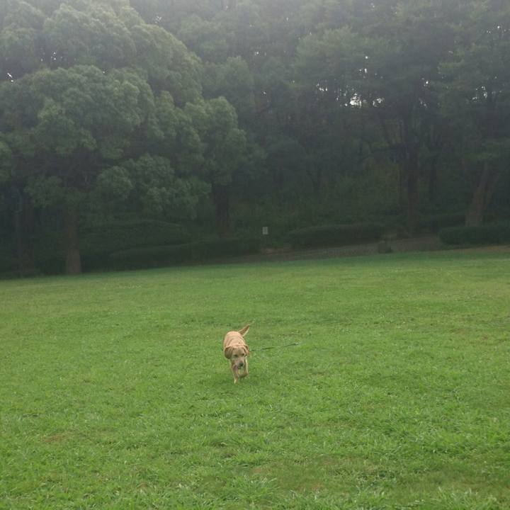 6c2c5fdb 4b06 4709 9fd1 db8123846c20