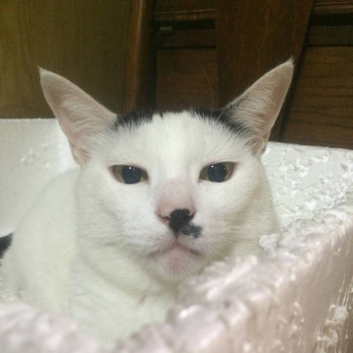 6c2d0a46 03b4 4b30 94ef b0151a1e7982