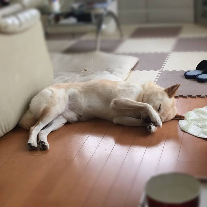 6c2d6656 5d8a 4753 aeb5 493dce0acf06