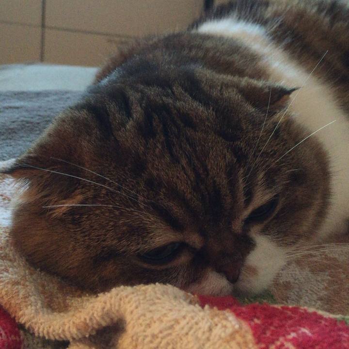 6c2d79e3 f77f 4514 ba85 fa9d5f230ab8