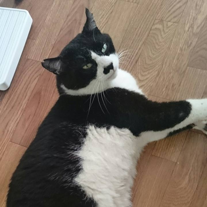 6c2dc98f 2849 44b2 83c5 ab86ed22e5c5