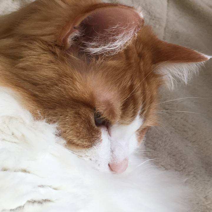 6c2de123 fc54 474a bace b6f8c2dca9d3