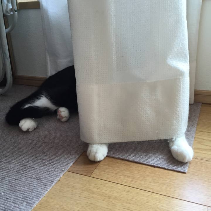 6c2e25c7 3e9b 4069 92c3 7271c7740312