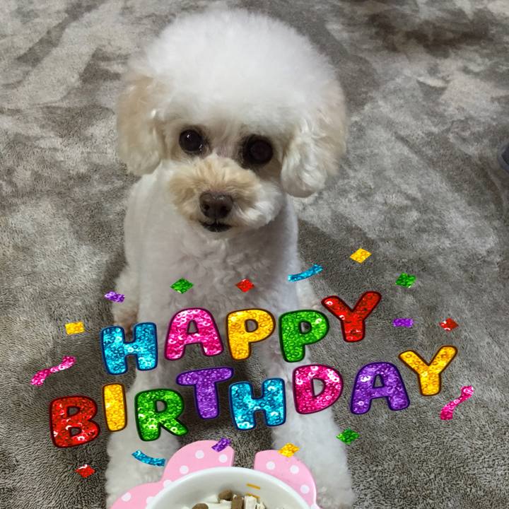 6c2e980e ed7a 44eb 9657 f02d4738b692