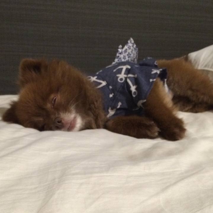 6c2eac39 564e 4ade ae2f 88b202ff5dd4