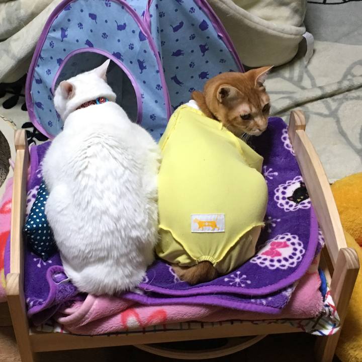 6c2f3b85 effc 4139 bc79 7e2a7d5d17aa