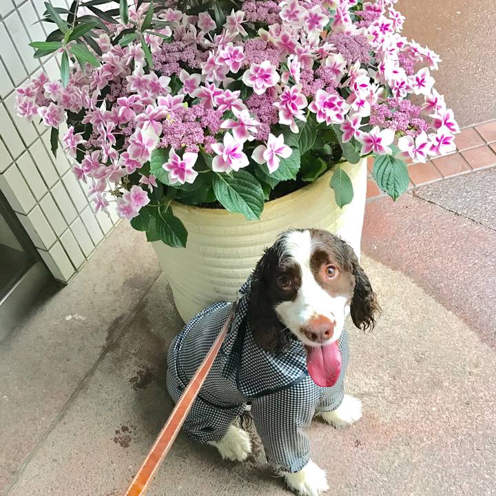 6c2f754d 8421 4214 9ddb 8dec5d5ddbcf