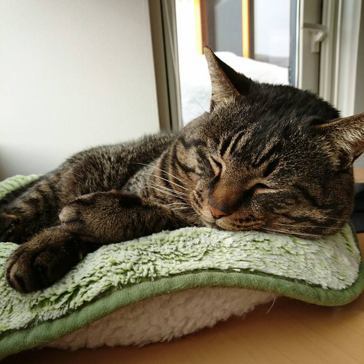 6c2fcf35 66b6 4fb6 8f08 6663bd4ddb00