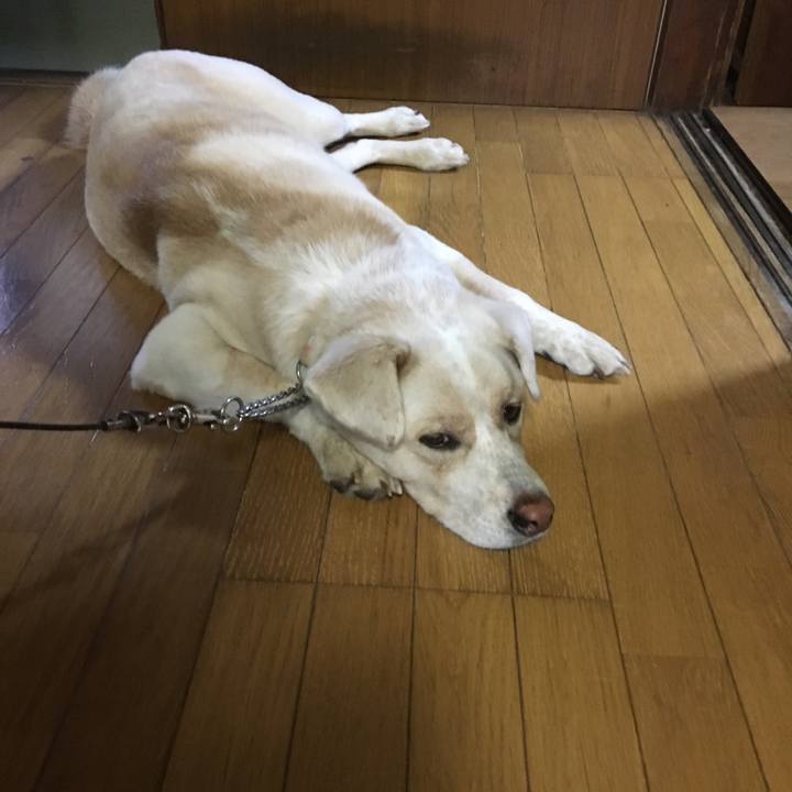 6c2fdcbd e610 4de5 a7ec 2b587772d0ec