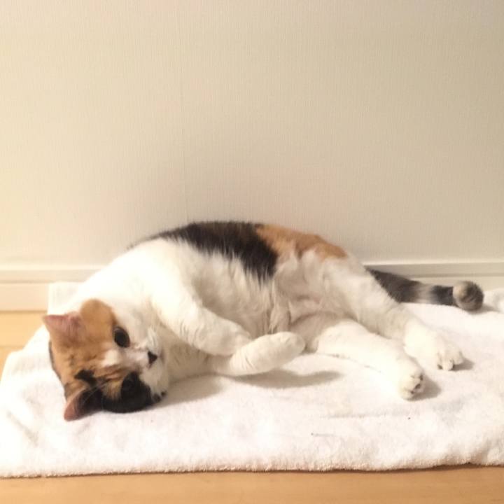 6c304b8a efe7 4cd6 8021 28e3967d53e6