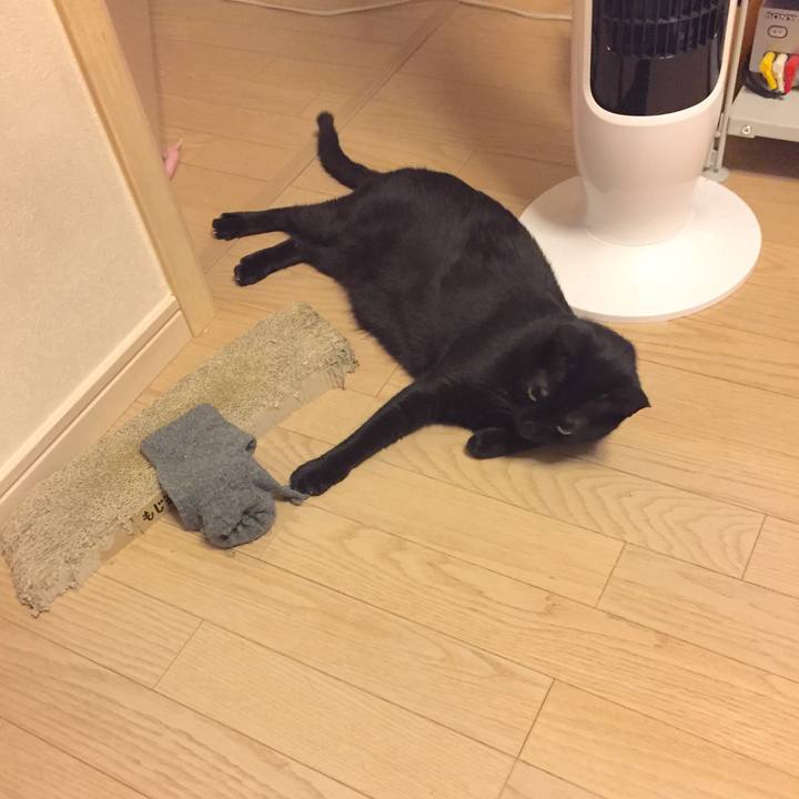 6c305da0 d721 4eb6 9ab1 650d8dda4efe