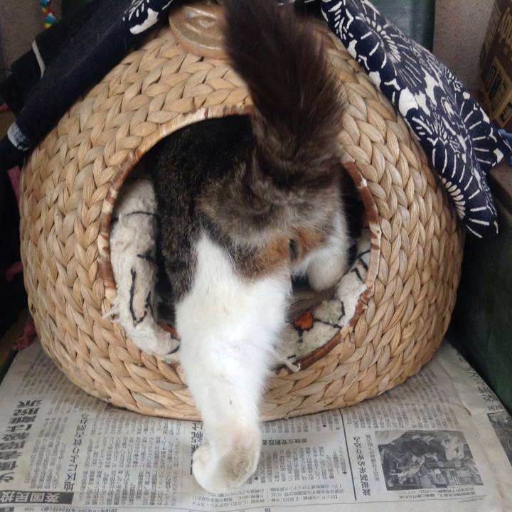 6c30c9ff e54f 4e42 8702 e864f053f4a8