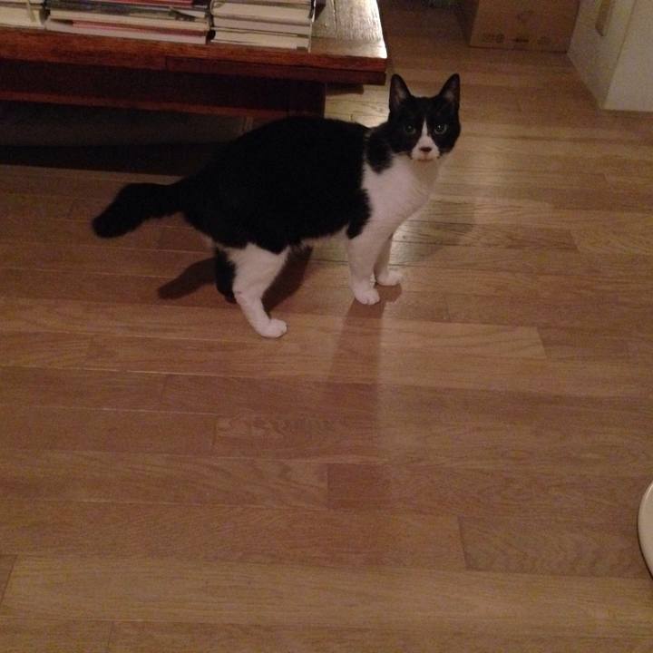 6c3117e0 2187 46e1 8aeb a2e892b24f1d