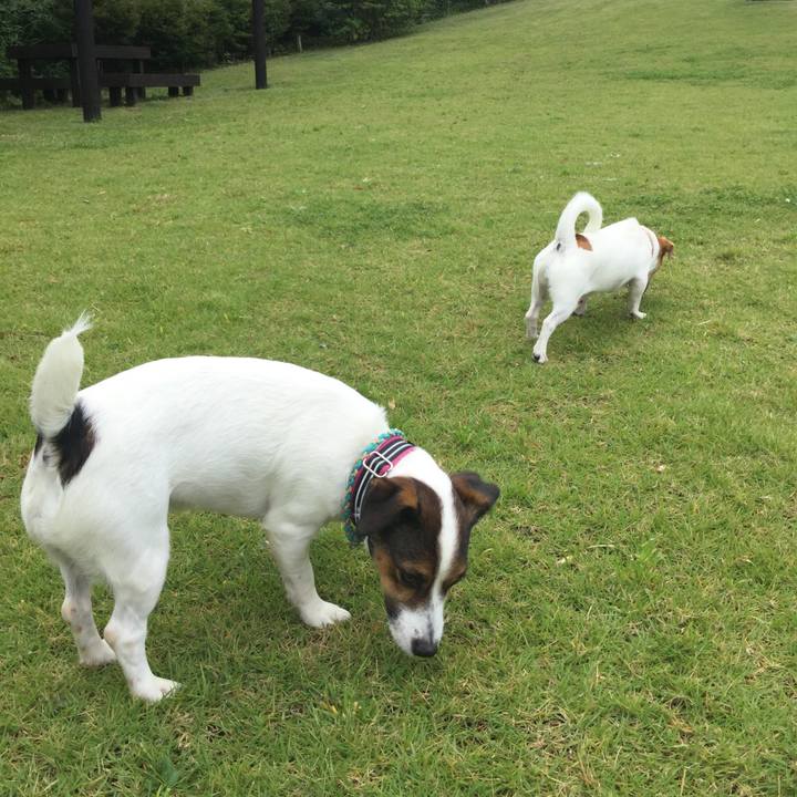 6c312a62 e2ef 4d35 98c0 241b98fc10bb