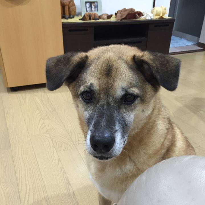 6c31587d f944 4ba4 8d5a 8ac5958eb442