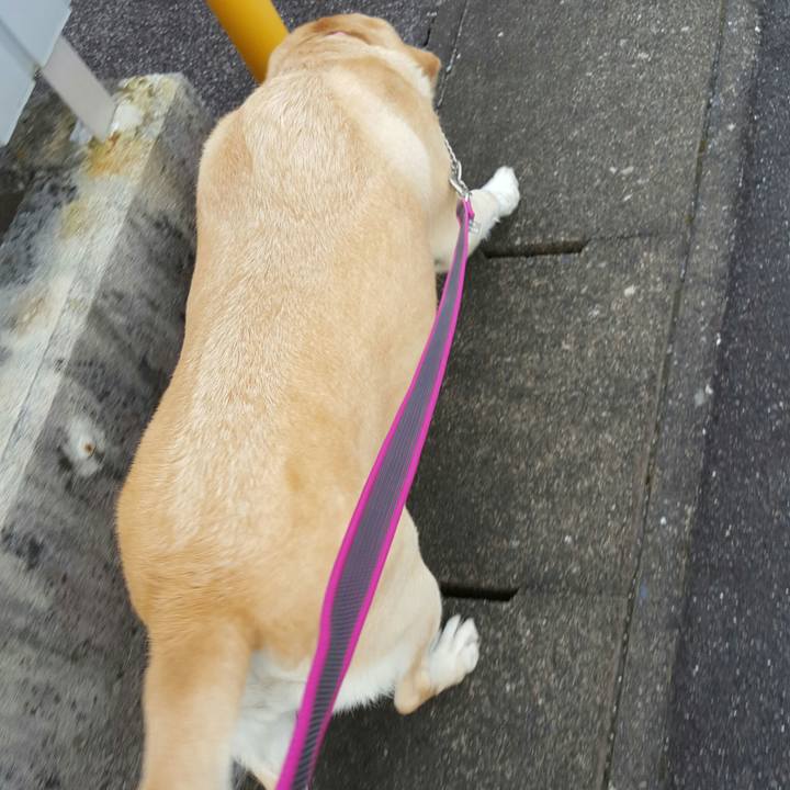 6c3221c5 1cc4 40df 88cf 19b66d4bcfa9