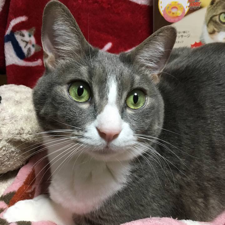 6c32a4d9 7c5a 4e6b bc9f 400ba56755a1