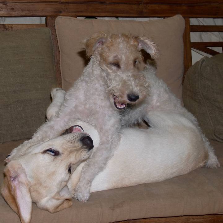 6c33e9fd 7010 41b3 b886 923aa83c0ab8