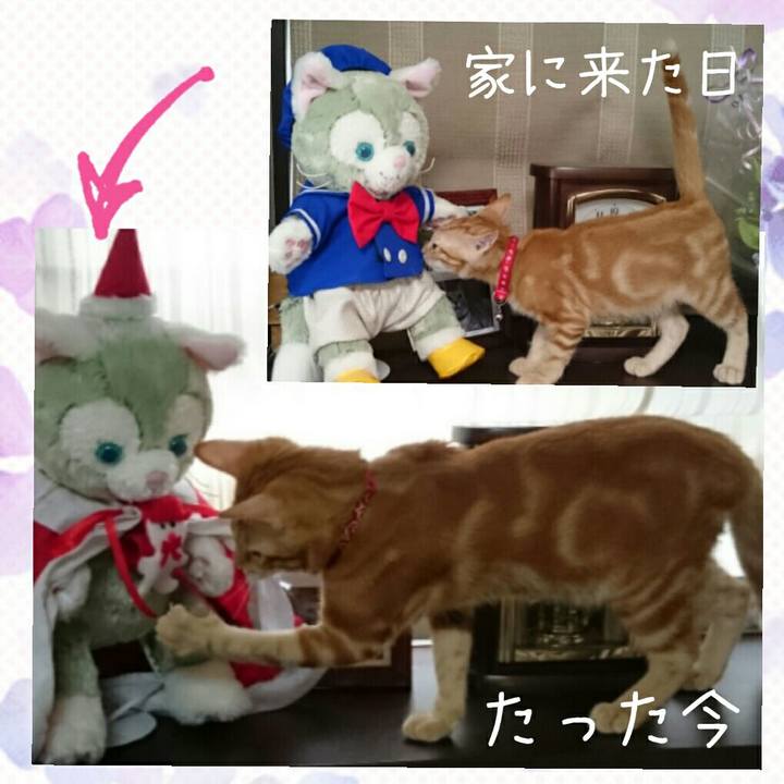 6c34a39b 7982 41d9 8c0e 86cae1f4e411