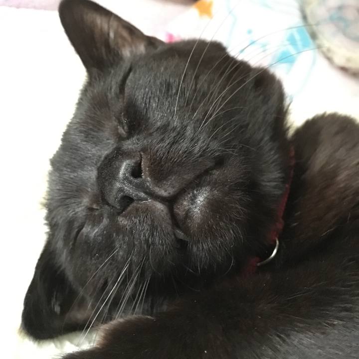 6c34d5f5 1354 495e a4fb f67a4b01d0a7