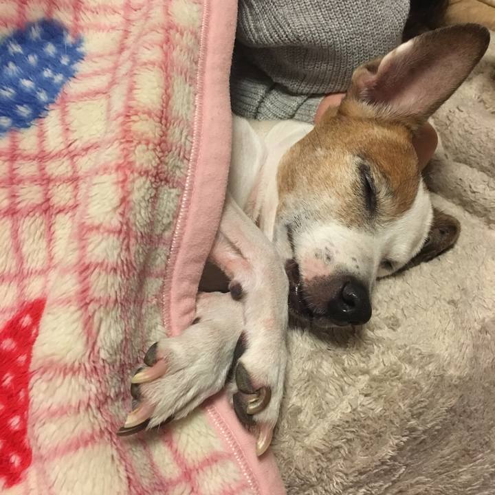 6c350348 f6c4 4509 9fc3 b542771e0391