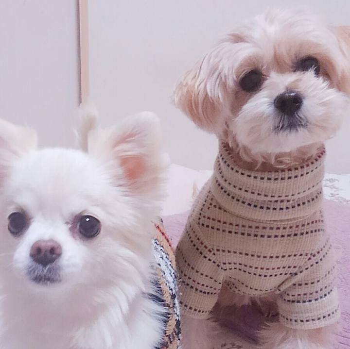 6c36805c 040a 4c71 94c3 a14e8ca6783d