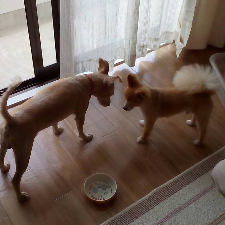 6c36d37f 0bcb 451a 916e 3902245e347f