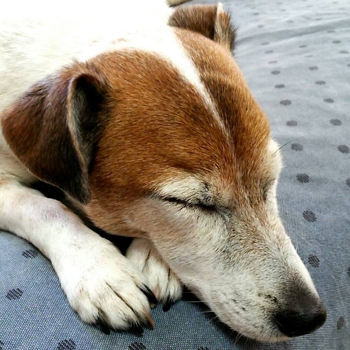 6c3774a4 ad1a 452f 86dc 36601b825cc3