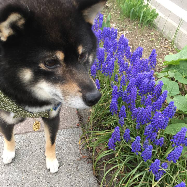 6c38339b 6df4 46b1 be9a 2972504912e0