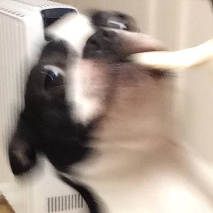 6c38a1d1 cb12 4580 aabc 5c258d29c5ee